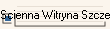 Scienna Witryna Szczecin
