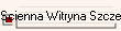 Scienna Witryna Szczecin