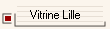 Vitrine Lille