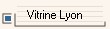 Vitrine Lyon