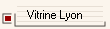 Vitrine Lyon