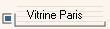 Vitrine Paris