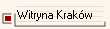 Witryna Krakw