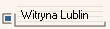 Witryna Lublin