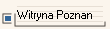 Witryna Poznan