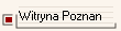Witryna Poznan