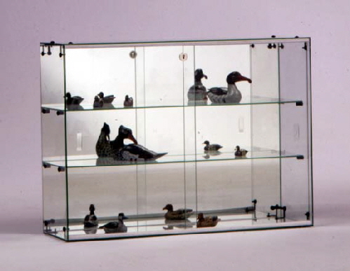 C06_mit_2_Boden_und_Spiegelruckwand